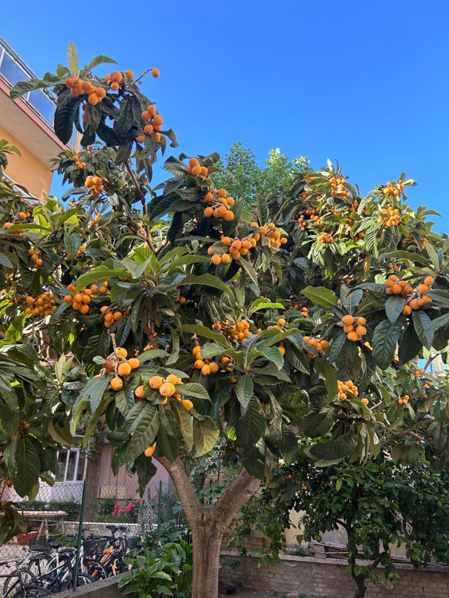 Appartamento Zona Residenziale, Due Passi Dal Mare 佩斯卡拉 外观 照片
